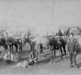 Multiple men, horses, and dogs in front of the many tents that made up a Ranger camp in the 18070s.