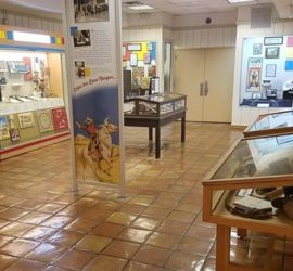 A picture of a colorful exhibit gallery with six visible exhibit cases and two large panels.