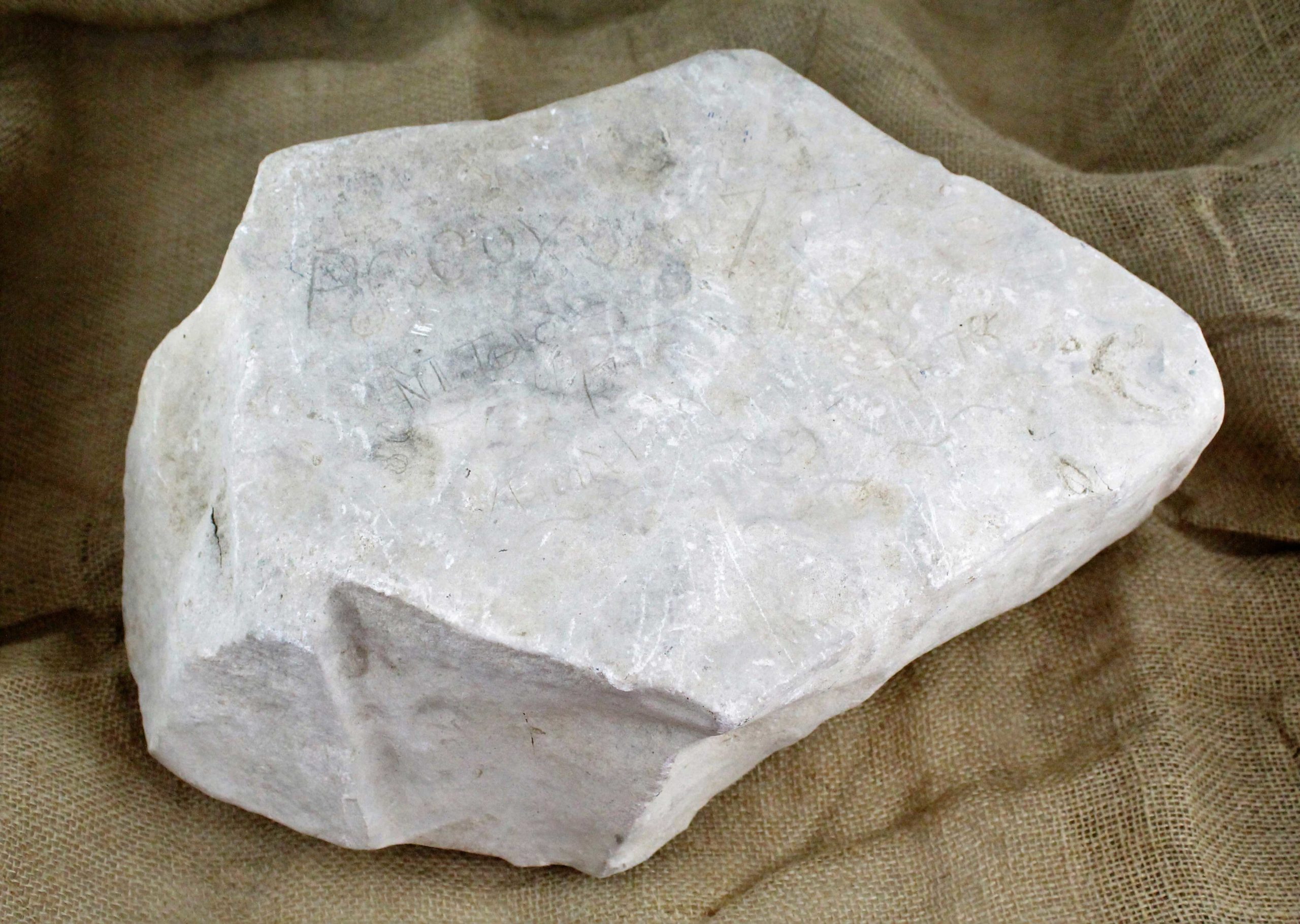 white with gray and tan aging on large stone rock