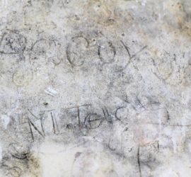 inscription Coy on white, gray, tan stone