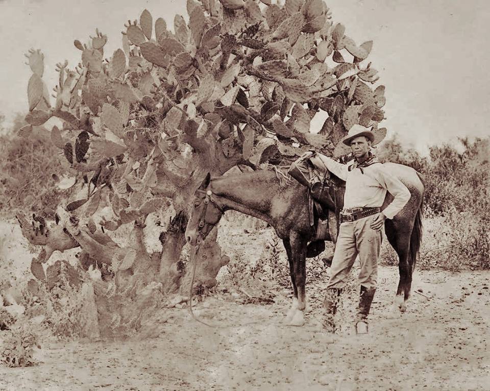 man and horse in front of oversized cactus