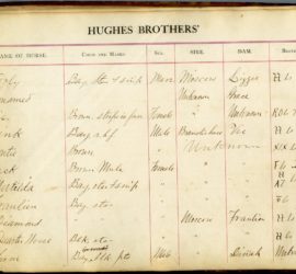 script in columns on yellowed document
