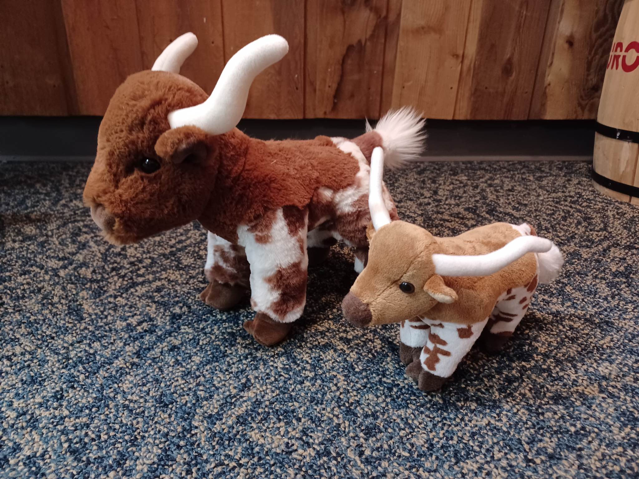 STORE_longhornplush