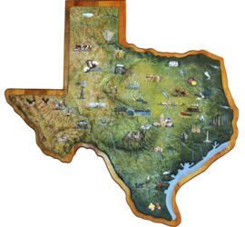 Texas shaped relief map with details